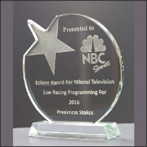 Round Crystal Shooting Star Award