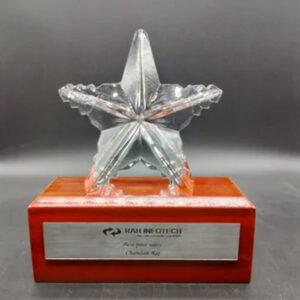 Crystal Star With Wooden Base