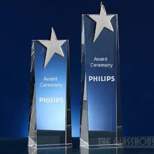 Best Trophy Makers in delhi gurgaon