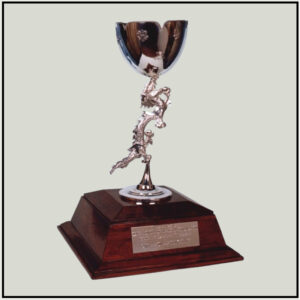 Silver Colored Metal Trophy