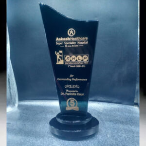 Outstanding Performance Award