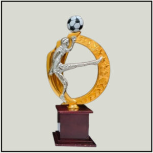 Metal Football Trophy
