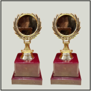 Fiber School Award Trophy