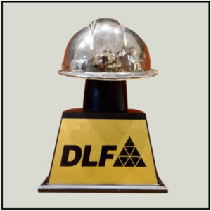 DLF Award