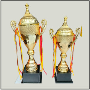 Sports Cup Trophies