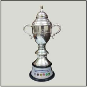 Silver Polish Cup