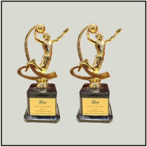 Basketball Winner Award